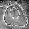 "Paper Clip Link" Necklace