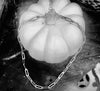"Paper Clip Link" Necklace